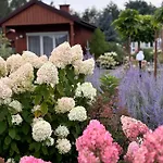 Miedzy Lasem A Wsia-kameralne Przy Lesie Lodge *